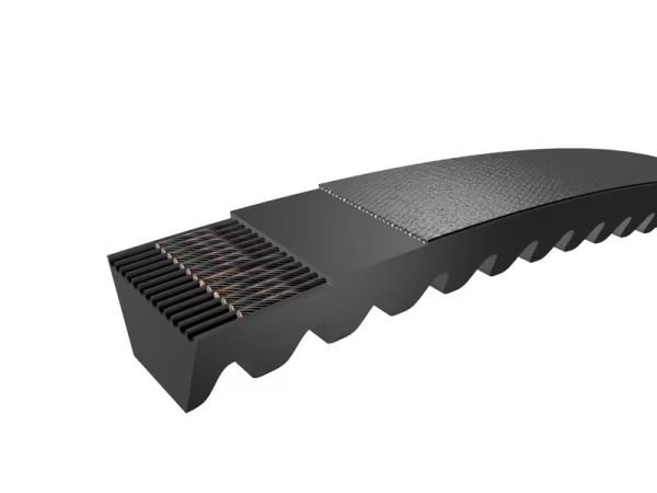 12,5x1050 Li (RPF) Daxton V-Kayış (Tırtıllı)