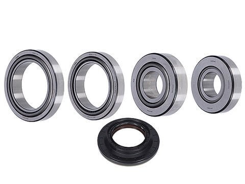 463012310 FAG Axor Diferansiyel Bilya Seti