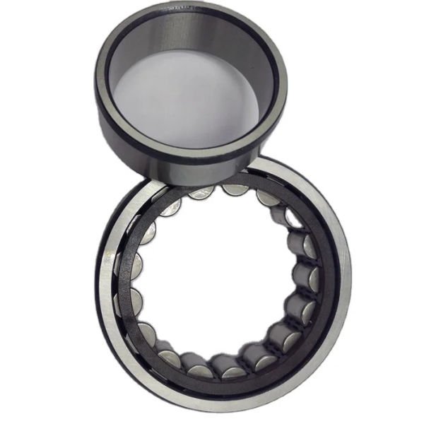 F 207407 BGR 65x120x33 Nup Serisi Pompa Rulmanı