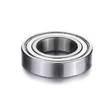 6019 ZZ F&D 95x145x24 RULMAN